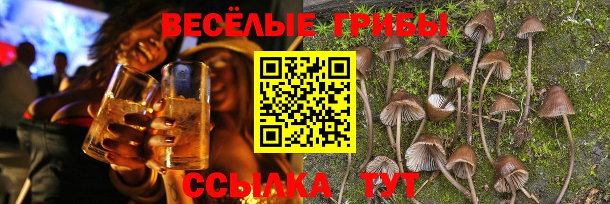 Галлюциногенные грибы Psilocybine cubensis Чебоксары